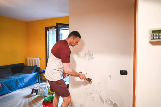 Best Certified Mold Removal  in Wauchula, FL